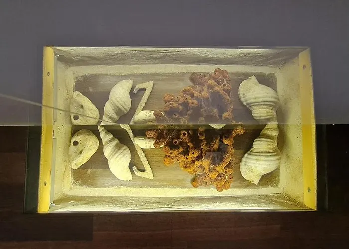 Olive Oil Mill Апартаменты Kokkala